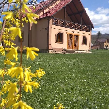 Затишок В Карпатах Villa Yaremche Eksteriør billede